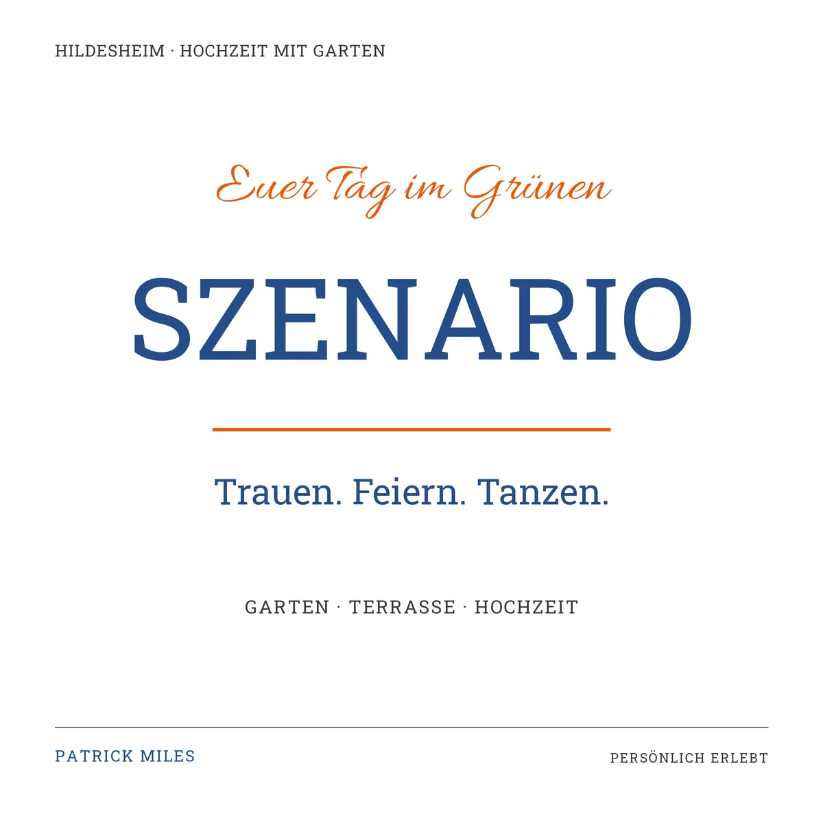 Schriftgrafik zum Beitrag: Szenario Hildesheim